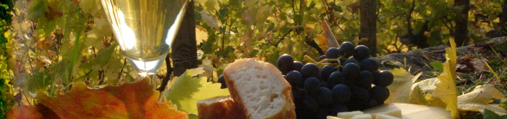 Weinstilleben, Foto von Andreas Wenzel